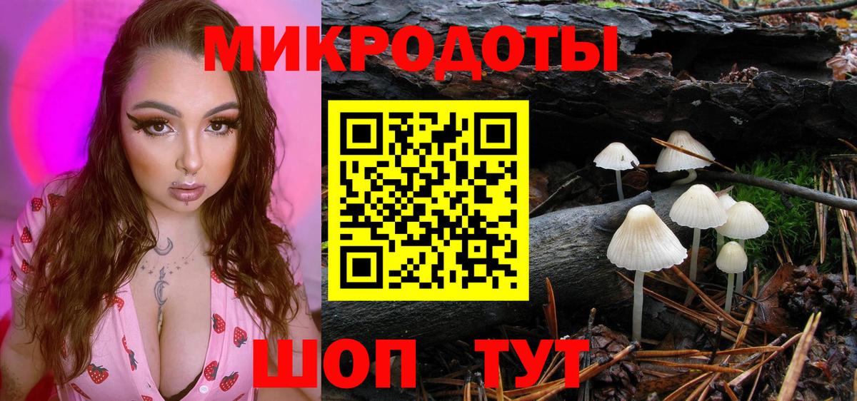 Галлюциногенные грибы мухоморы Железногорск