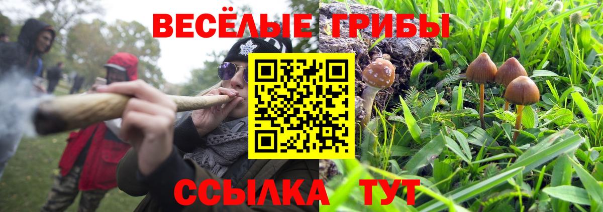 Галлюциногенные грибы мухоморы  Вход с VPN  магазин  наркотиков  Железногорск 